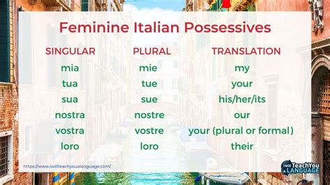 Possessive Adjectives Italian – StoryLearning