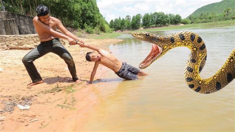 Real Anaconda Attacks Two Brother While Swimming In The River - Boy Vs ...