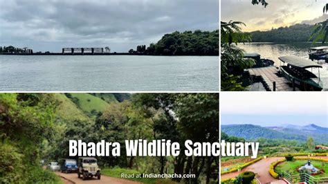 Bhadra Wildlife Sanctuary, Chikmagalur (VISIT IN 5 MINUTES)