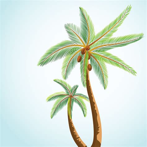 Beautiful green coconut tree leaf design 24465042 Vector Art at Vecteezy