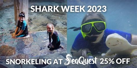 Shark Week 2023 - SeaQuest