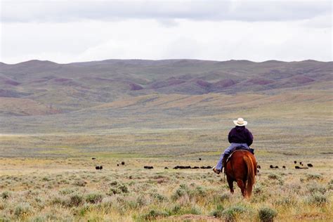 I’m a fourth-generation cattle rancher. I’m also a vegetarian. | by ...