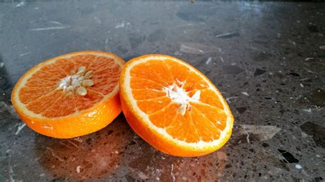 Sliced Orange · Free Stock Photo