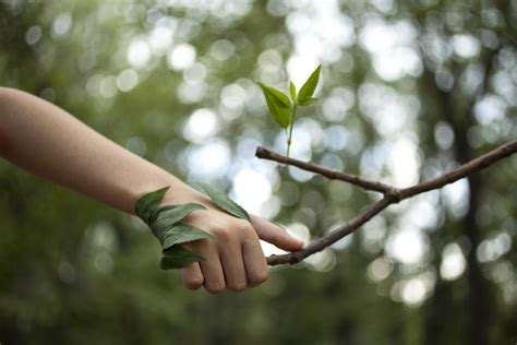 Empresas españolas con el medio ambiente - Todo Competencia