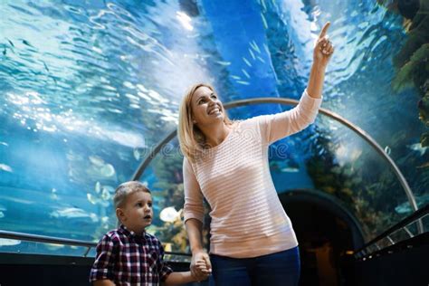 Happy Family Looking at Fish Tank at the Aquarium Stock Image - Image ...