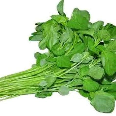 Sayur Bayam - Resepi Sayur Bayam Masak Air - Masak Memasak : Biofarma ...