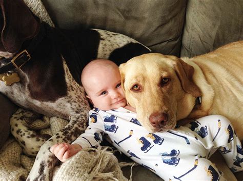 33 Adorable Photos of Dogs and Babies That Prove They Are BFFs