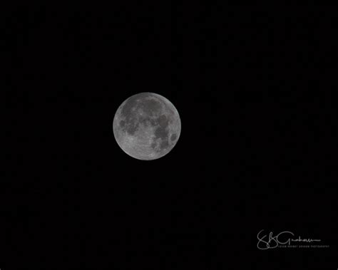 Blue Super Moon with Blood Red Lunar Eclipse - Susan Brandt Graham Photography