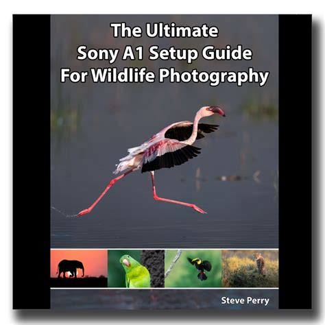 The Ultimate Sony A1 Setup Guide For Wildlife Photography | Touch Two ...