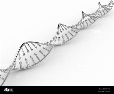 Dna double helix Black and White Stock Photos & Images - Alamy