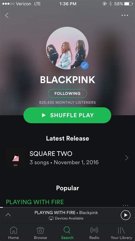 Steam BLACKPINK songs on Spotify! | BLINK (블링크) Amino