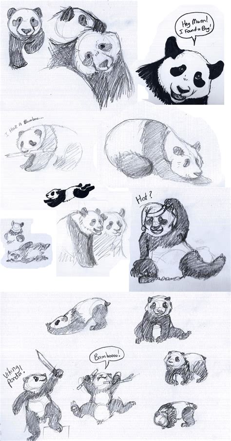 Panda Sketches by dandypandy12 on DeviantArt