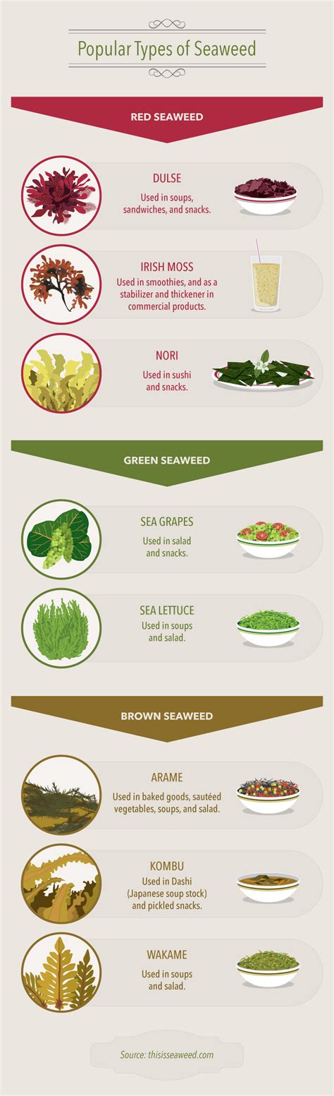 Why You Should Eat Seaweed | eReplacementParts.com DIY Blog