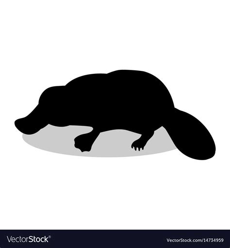 Platypus mammal black silhouette animal Royalty Free Vector