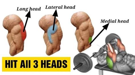 9 Best Triceps Workout for Every Head (Hit all 3 heads) | Fitkill - YouTube