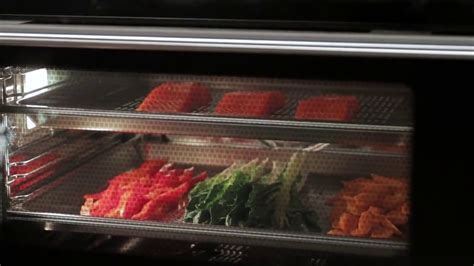 Cooking with the Wolf Convection Steam Oven | Video Gallery | Sub-Zero ...