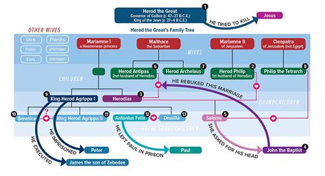 See a visualization of the Herodian family tree and key events in the New Testament related to ...