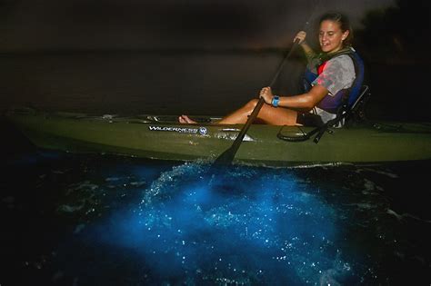 Bioluminescent Kayaking Florida // Adventure by Nature