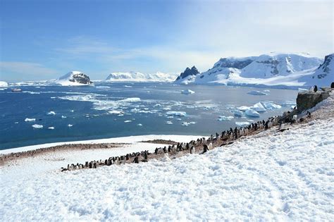 Antarctica 2023: Best Places to Visit - Tripadvisor