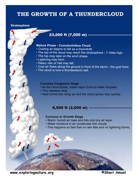 Grade 2 - 2-ESS1 Earth's Place in the Universe