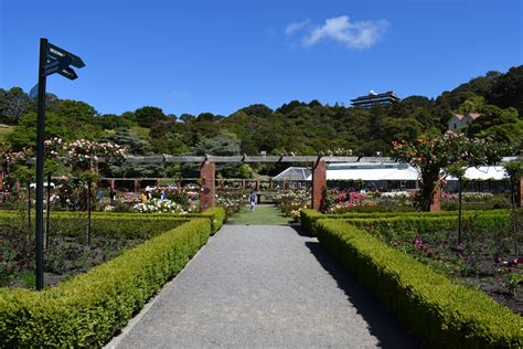 Wellington Botanic Garden, Otari-Wilton’s Bush Native Botanic Garden ...