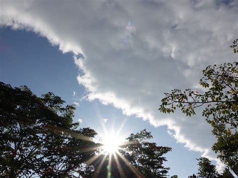 Gambar : pohon, alam, cahaya, awan, menanam, langit, sinar matahari ...