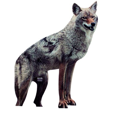 Bird B Gone Coyote Decoy (2 units per pack) COY400 - The Home Depot