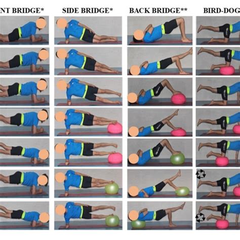 | Core stability exercises. * Variations of the front and side bridge... | Download Scientific ...