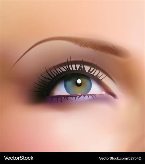 Blue eye Royalty Free Vector Image - VectorStock