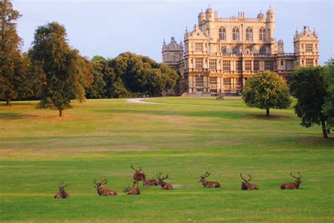 Wollaton Hall and Deer Park, Nottingham | Nottinghamshire, Visiting england, Nottingham