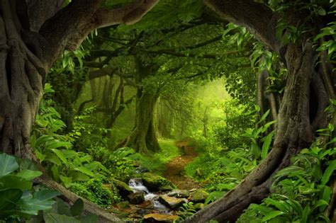 forest Green Trees 3D Custom wall murals / wallpapers – DCWM000917 ...