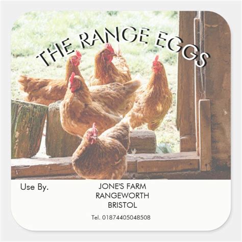 free range egg box Label farm shop | Zazzle | Egg box, Labels, Farm shop