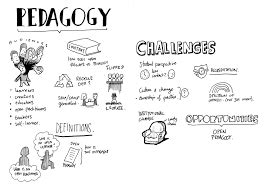 Pedagogy: Meaning, emergence and examples