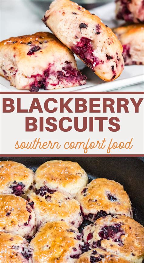 Simple and Easy Homemade Blackberry Biscuits