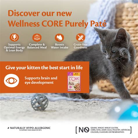 Wellness Core Purely Paté Kitten, Chicken with Tuna - 85G - Wellness Core