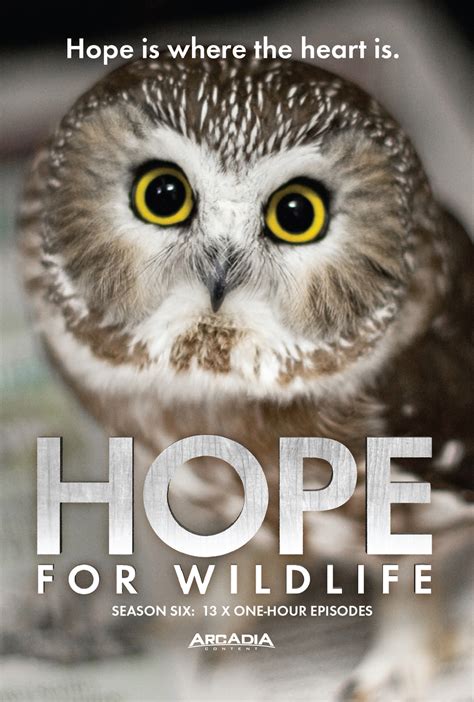 Hope for Wildlife, Season Six – Hope for Wildlife TV