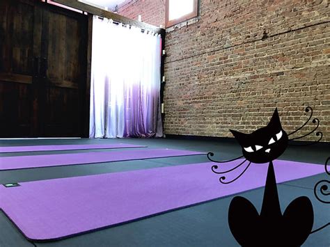 Black Cat Yoga | Jacksonville FL | Yoga Studio