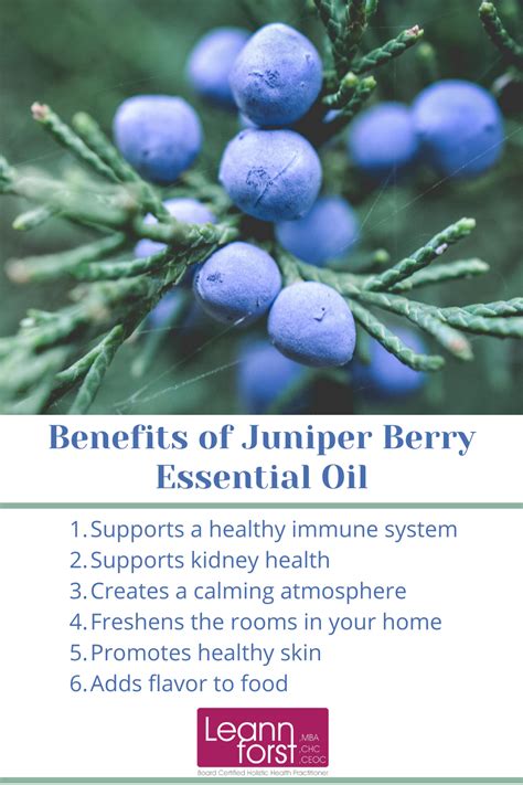 Benefits of Juniper Berry Essential Oil | Leann Forst Natural Skin Toner, Natural Cleanse ...