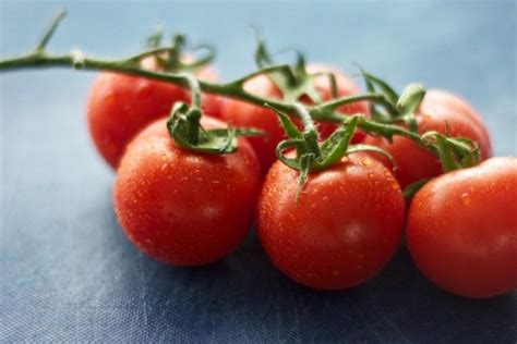 6 Ripe Tomato Recipes