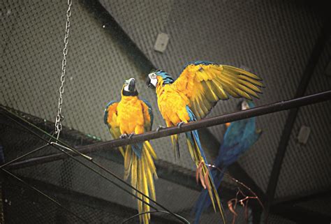 kolkatas: Here’s why Kolkata’s newest zoo should be on your bucket list ...