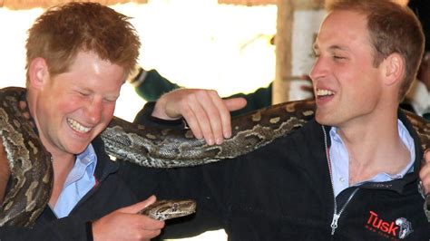 Letter from Africa: Prince Harry and a royal scramble for the continent ...