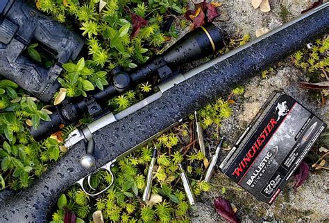 Best Scope for .270 Winchester – My 4 Top Optics in 2024 | Scopes Review