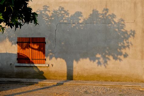 Wallpaper : wood, morning, windows, light, shadow, summer, Sun, France, tree, window, yellow ...