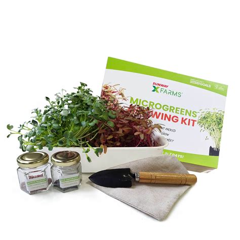 Microgreens Growing Kit - Sunway XFarms