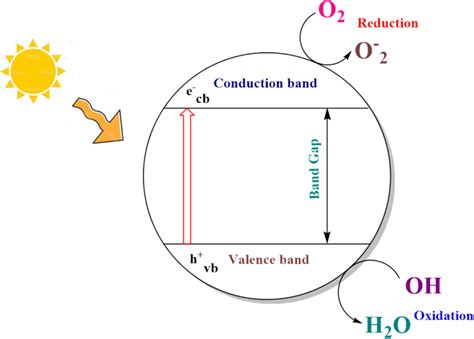 General mechanism of photodegradation | Download Scientific Diagram