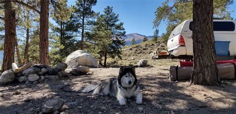 Twin Lakes Colorado : camping