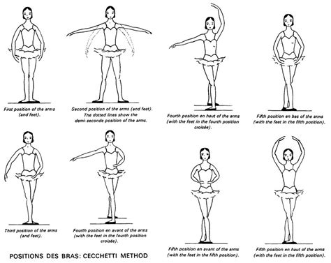 Positions Of The Feet And Arms Cecchetti Method | Ballet positions, Ballet basics, Ballet technique