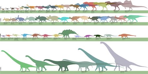 Gigantoraptor Size Comparison - img-Abigail