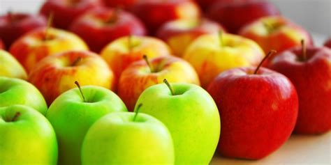 The Best Types of Apples for Cider in North America