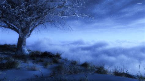 Winter night wallpaper - Digital Art wallpapers - #35275